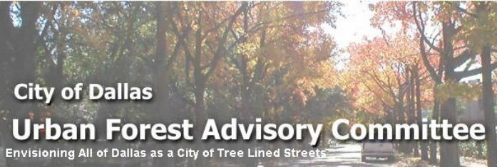City of Dallas Urban Forest Committee